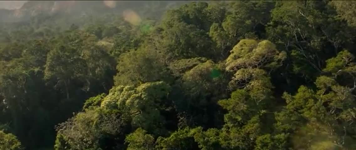 Clip of quote: [birds chirping]