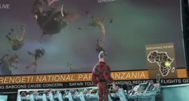 Clip of quote: ...Mozambique's airspace, threatening the fragile peace...