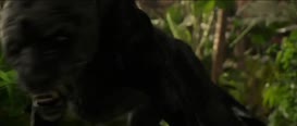 Clip of quote: [roars]
