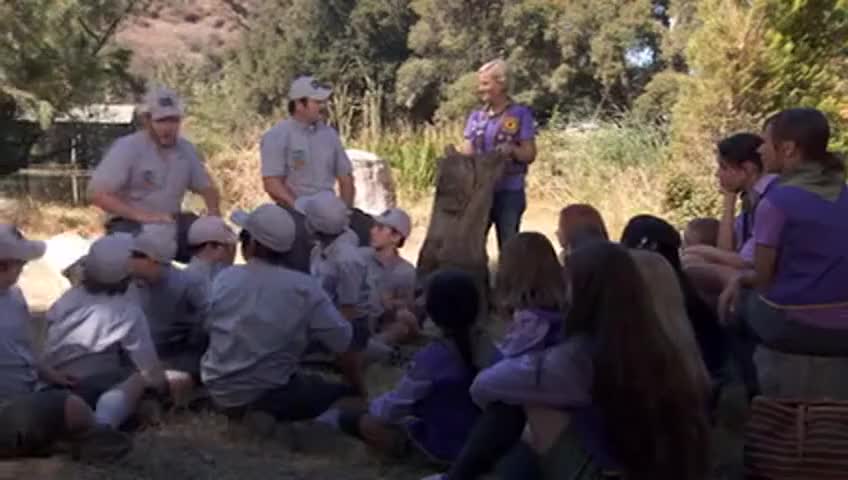 Clip of quote: Noo!