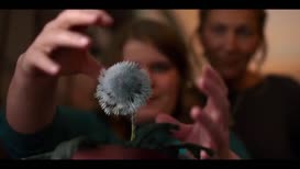 Clip of quote: [mystical twinkling]