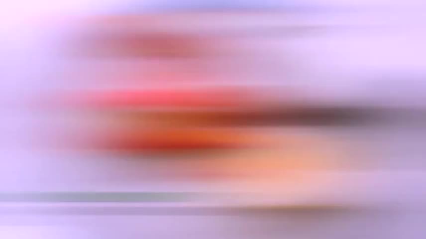 Clip of quote: so I wanted to put a whole wing on the plate.
