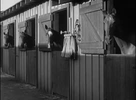 Clip of quote: Xanadu's livestock...