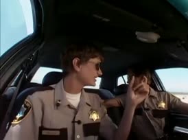 Clip of quote: Was it a fly Or was it a bee?