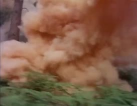 Clip of quote: German casualties were appalling.