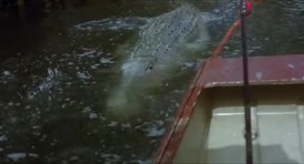 Clip of quote: - Stay! Stay! - Arnie. that's OK. Leave him alone.