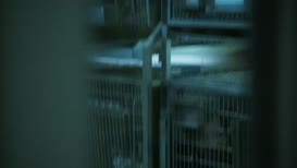 Clip of quote: You're locked in a fucking cage.