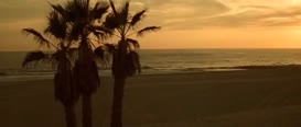 Clip of quote: I was conceived in the Riviera. Not the French Riviera.