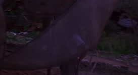 Clip of quote: ...whose hand the teacher has to hold.
