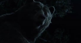 Clip of quote: I will walk you right down to that man village myself.