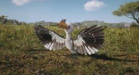 Clip of quote: You've messed with the wrong hornbill!