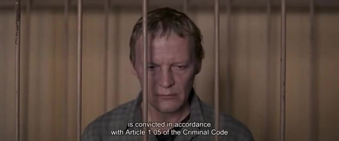 Clip of quote: is convicted in accordance with Article 1 05 of the Criminal Code