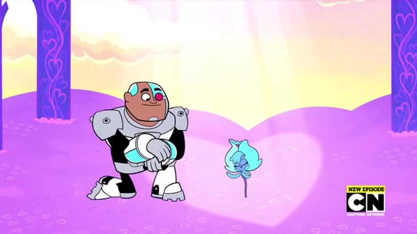 Clip of quote: Pick me and let us bring joy to your loved one.