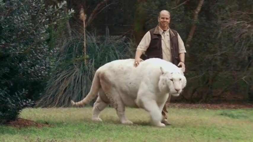 Clip of quote: I am so well known as big cat guy around the world,