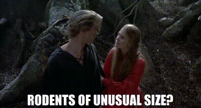 [Image: 64fd1fd0-7222-4760-8040-329c39140faf_text.gif]