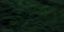 Clip of quote: -[slithery chittering] -[Beatrix yelping]