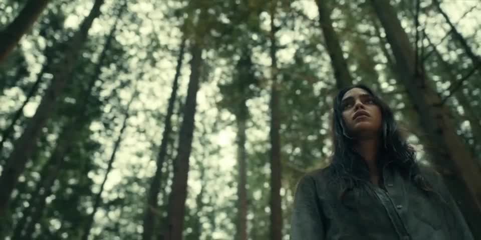 Clip of quote: You are only your breath.