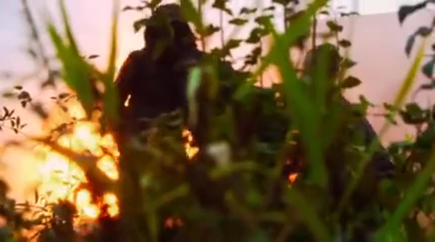 Clip of quote: CALLY: You all right? You okay?