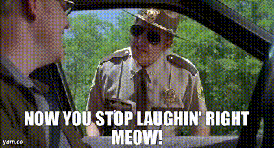 81305280-013e-41d0-850f-edb0f6ddd770_text.gif