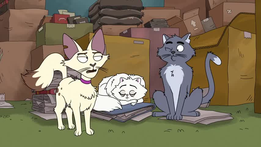 Clip of quote: you wouldn't have to protect Her Fluffiness.