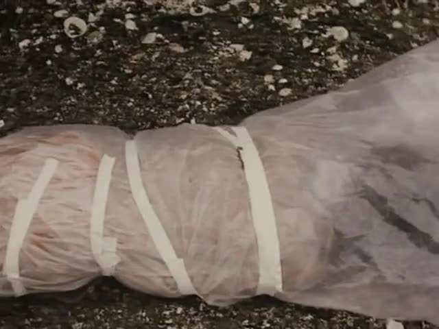 Clip of quote: - You want forensics first? - No, she's been in the water.