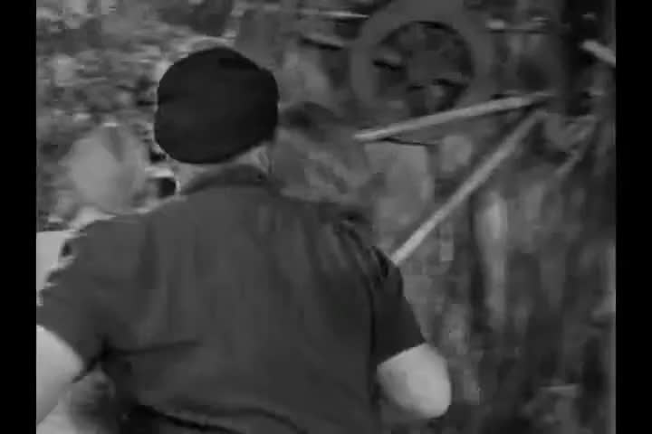 Clip of quote: Ginger, now be sure and keep those big eyes open.