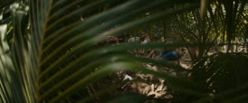 Clip of quote: And their lives,