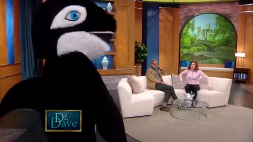 Clip of quote: No. No!
