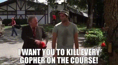 YARN | I want you to kill every gopher on the course! | Caddyshack (1980) |  Video clips by quotes | 9c651983 | 紗