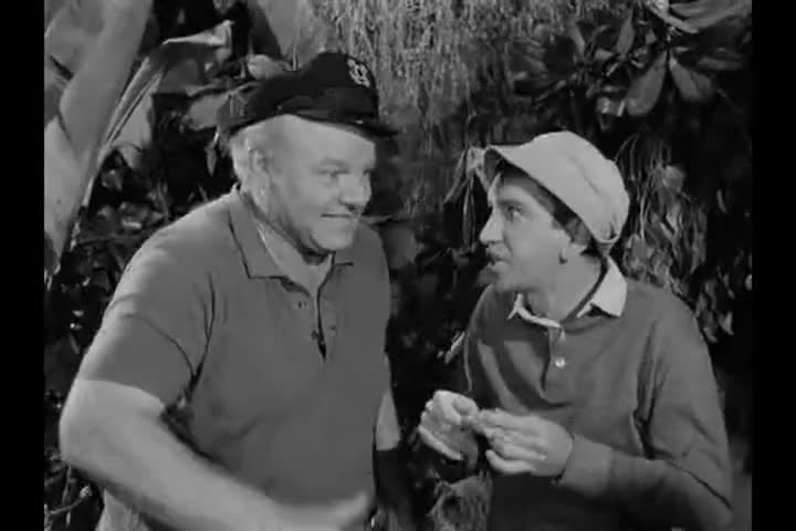 Clip of quote: Gilligan, you not only got a hole in your head.