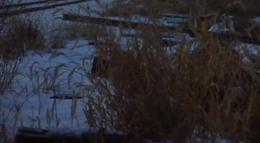 Clip of quote: One, two, three, breakl