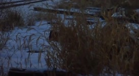 Clip of quote: One, two, three, breakl