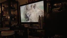 Clip of quote: It's been crazy exciting to see these cubs