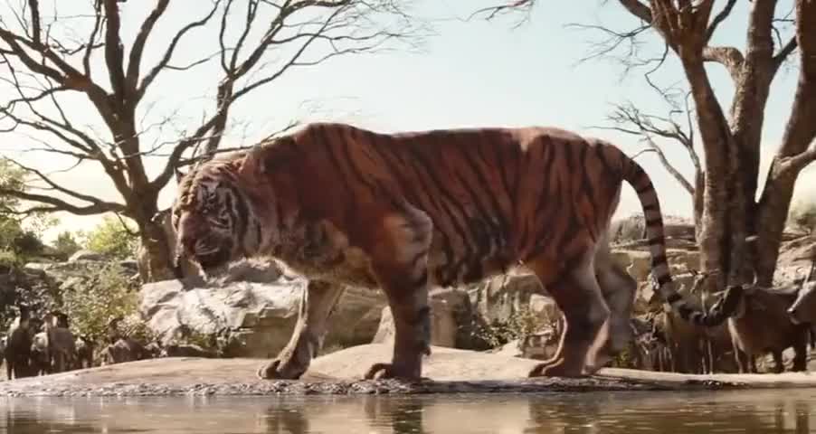 Clip of quote: I want the man-cub. they won't give me the man-cub.