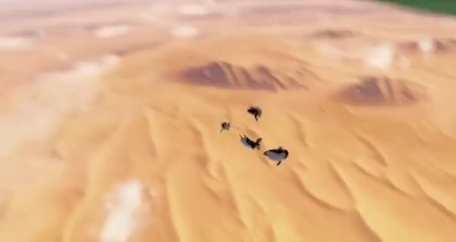 Clip of quote: We've got another target, at 12 o'clock.