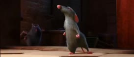 Clip of quote: LET'S GO GET HIM!!!!!