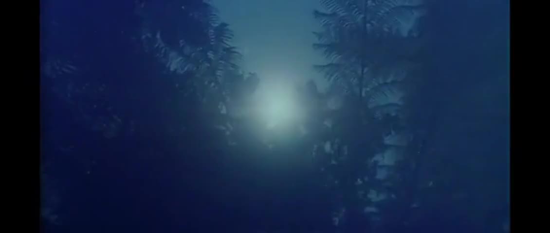 Clip of quote: to seek out new life forms