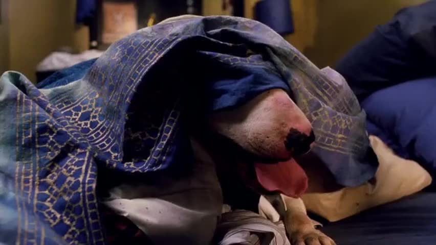 Clip of quote: Anybody home?