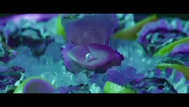 Clip of quote: I grab her legs and now divide, aight