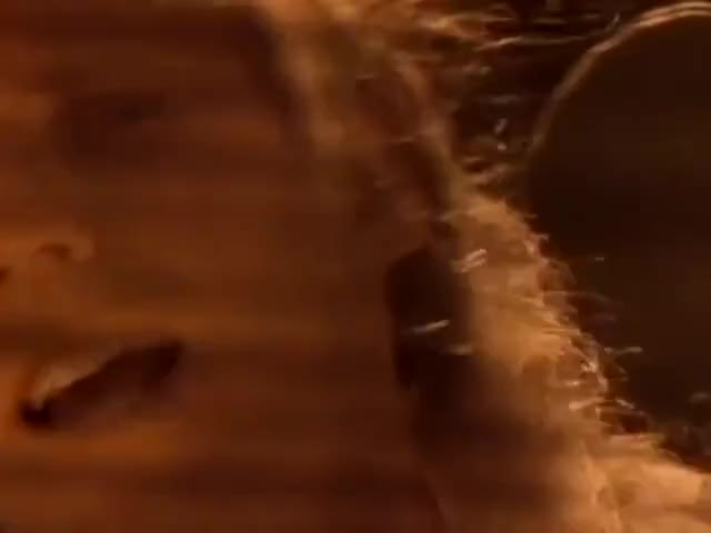 Clip of quote: Through my mind and I don't know why