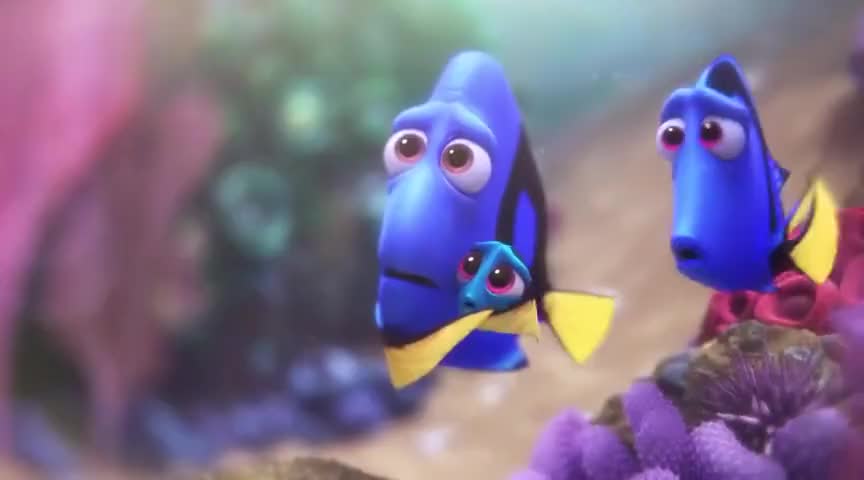 Clip of quote: Oh, watch where you're going.