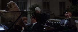 Clip of quote: Well, Albert, That Darn Cat Bleeding in 1997. - Sounds like yard work.