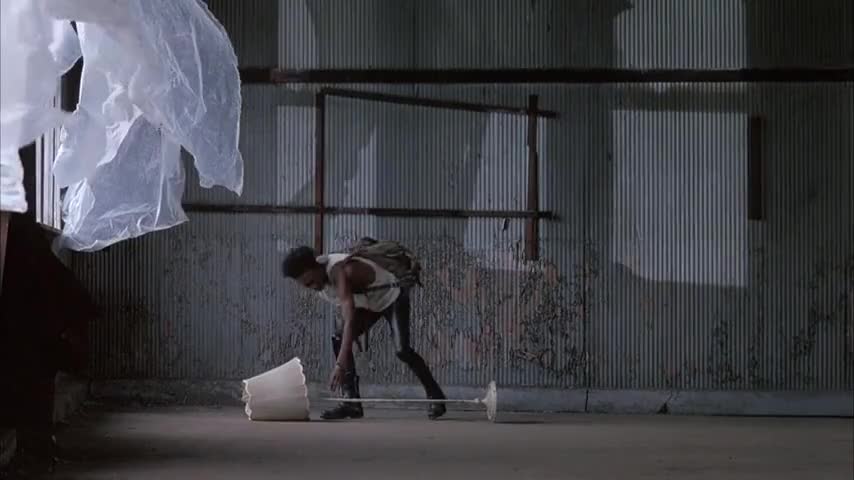 Clip of quote: you didn't tell me that New York is as hot as Miami.