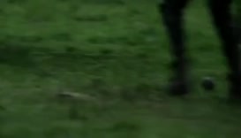 Clip of quote: Ya, wee Fergus, get the ball!