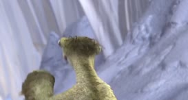 Clip of quote: Diego? Diego?