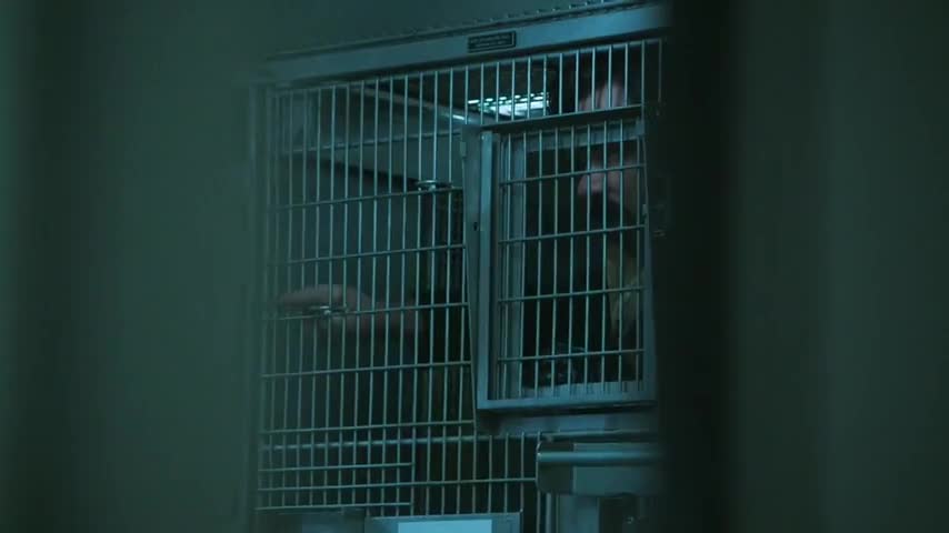 Clip of quote: and you will undo your latch