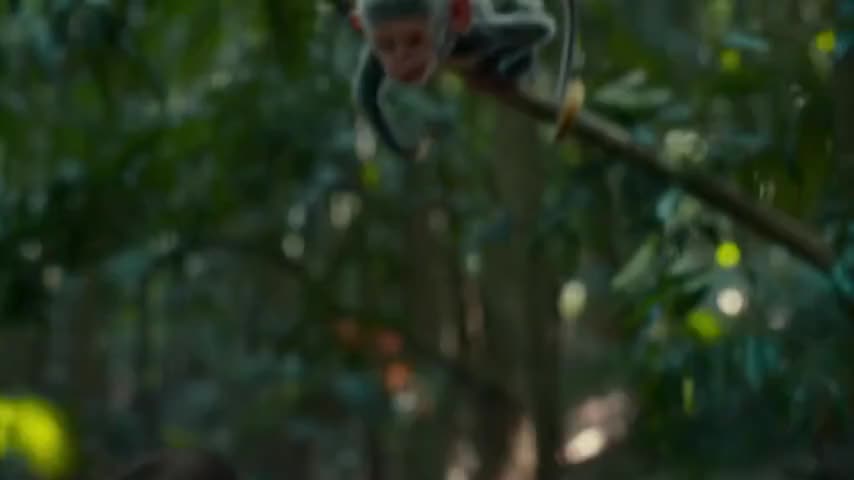 Clip of quote: [chirping]