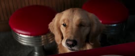 Clip of quote: Dogfather?