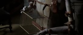 Clip of quote: The birdcage can't be our climax. Everybody knows it.