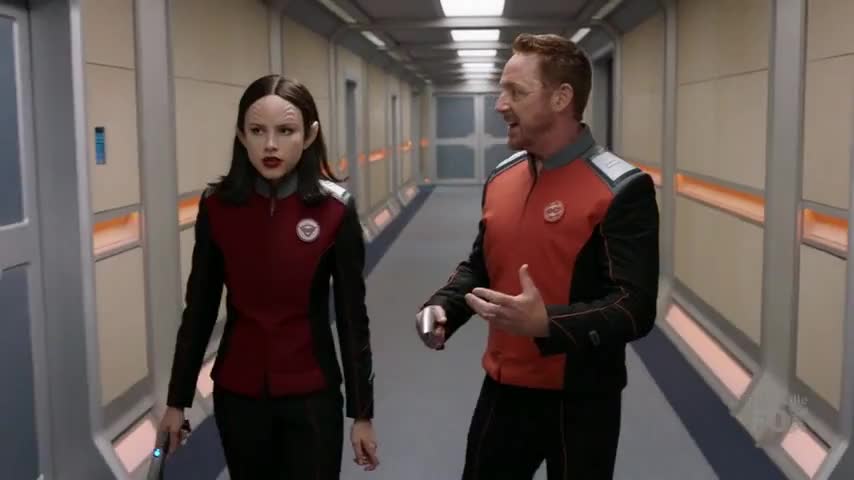 Clip of quote: and then it explodes and all these baby spiders